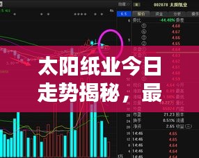 太阳纸业今日走势揭秘，最新动态一网打尽