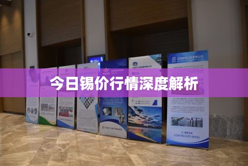 今日锡价行情深度解析