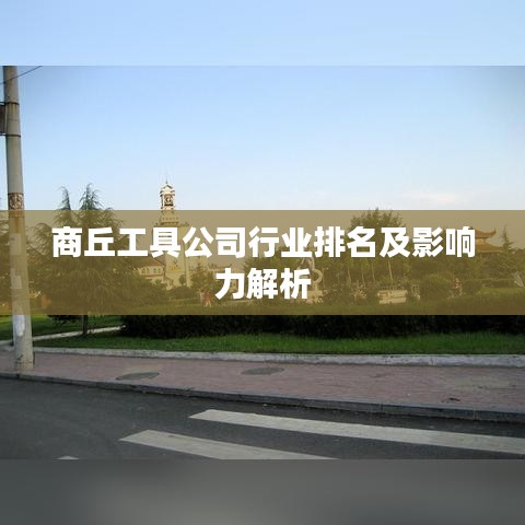 商丘工具公司行业排名及影响力解析