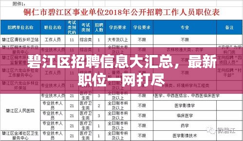 碧江区招聘信息大汇总，最新职位一网打尽