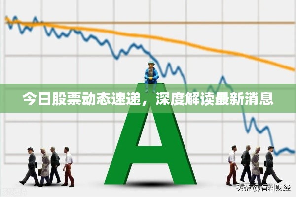 今日股票动态速递，深度解读最新消息
