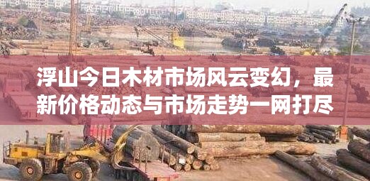 浮山今日木材市场风云变幻，最新价格动态与市场走势一网打尽！