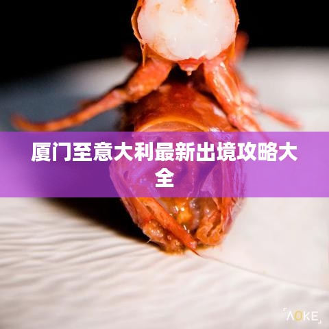 厦门至意大利最新出境攻略大全