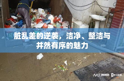脏乱差的逆袭，洁净、整洁与井然有序的魅力