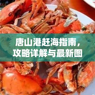 唐山港赶海指南，攻略详解与最新图片呈现