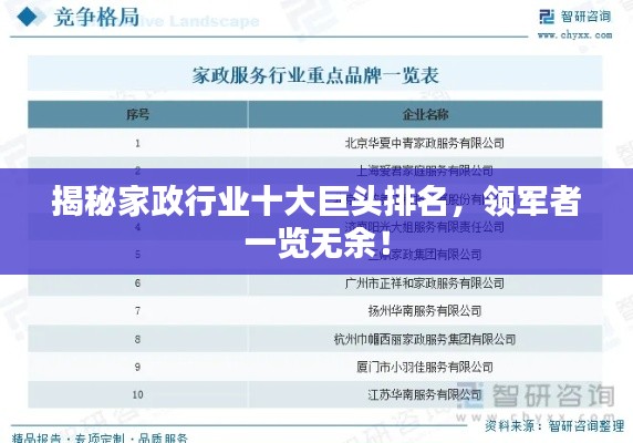 揭秘家政行业十大巨头排名，领军者一览无余！