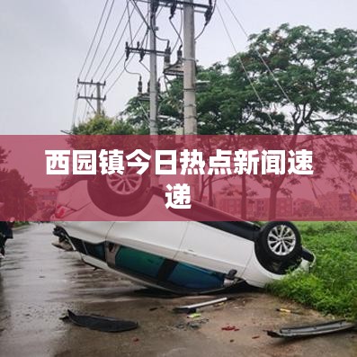 西园镇今日热点新闻速递