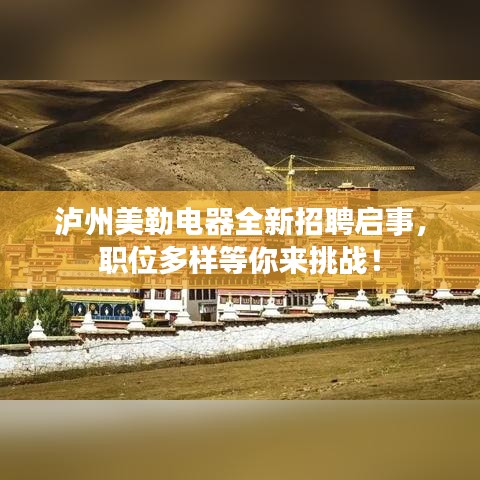 泸州美勒电器全新招聘启事，职位多样等你来挑战！