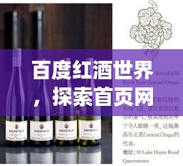 2025年6月5日 第2页
