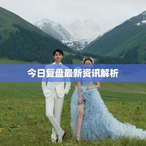 今日复盘最新资讯解析