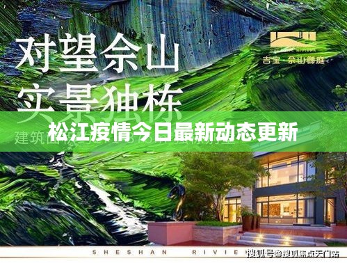 松江疫情今日最新动态更新
