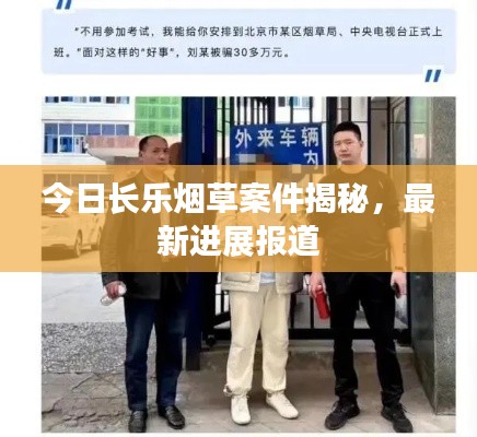 今日长乐烟草案件揭秘，最新进展报道