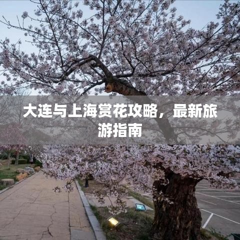大连与上海赏花攻略，最新旅游指南
