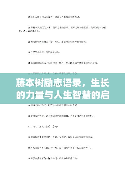 藤本树励志语录，生长的力量与人生智慧的启迪