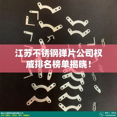 江苏不锈钢弹片公司权威排名榜单揭晓！