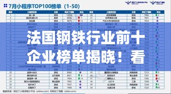 法国钢铁行业前十企业榜单揭晓！看哪些企业独占鳌头