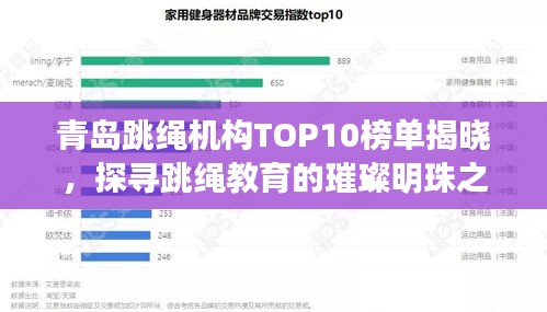 青岛跳绳机构TOP10榜单揭晓，探寻跳绳教育的璀璨明珠之旅