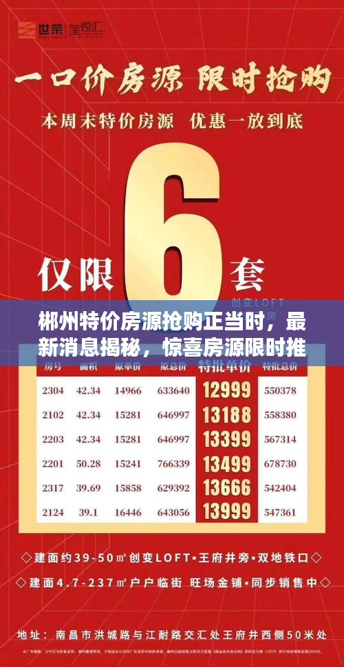 郴州特价房源抢购正当时，最新消息揭秘，惊喜房源限时推出！