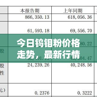 今日钨钼粉价格走势，最新行情分析
