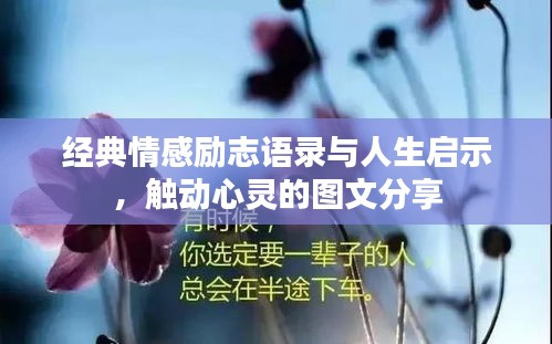 经典情感励志语录与人生启示，触动心灵的图文分享