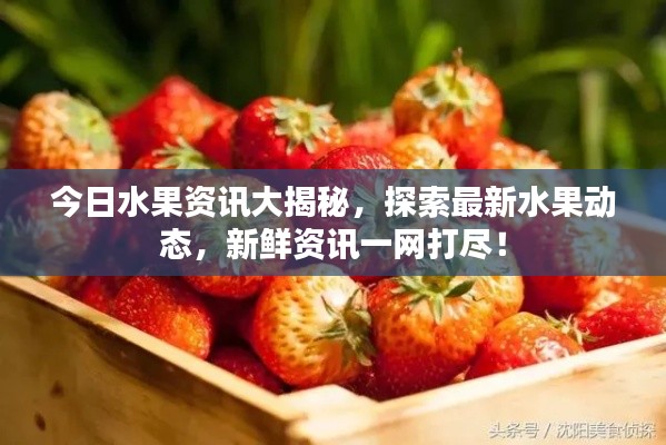 今日水果资讯大揭秘，探索最新水果动态，新鲜资讯一网打尽！