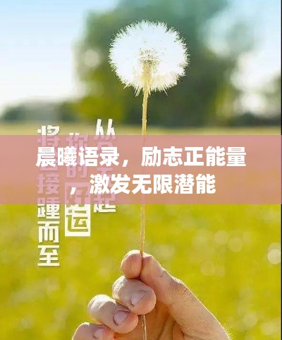 晨曦语录，励志正能量，激发无限潜能