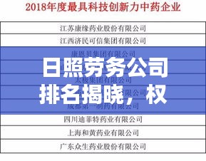 日照劳务公司排名揭晓，权威榜单，优质企业一览无余！
