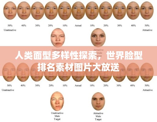 人类面型多样性探索，世界脸型排名素材图片大放送