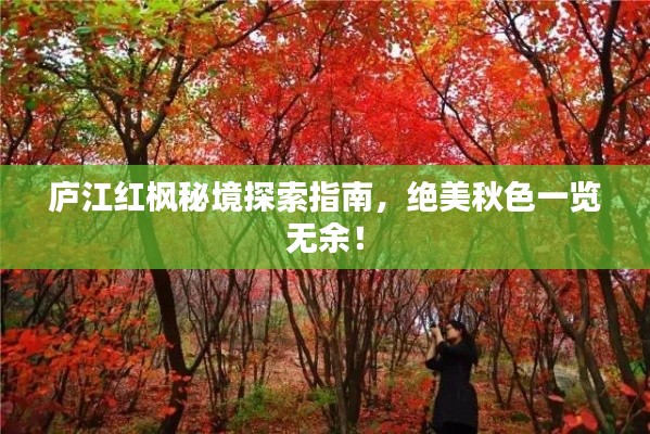 庐江红枫秘境探索指南，绝美秋色一览无余！