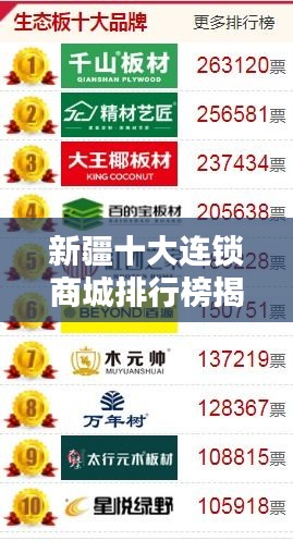新疆十大连锁商城排行榜揭晓