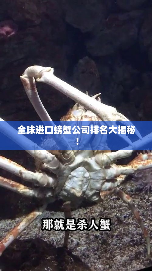 全球进口螃蟹公司排名大揭秘！