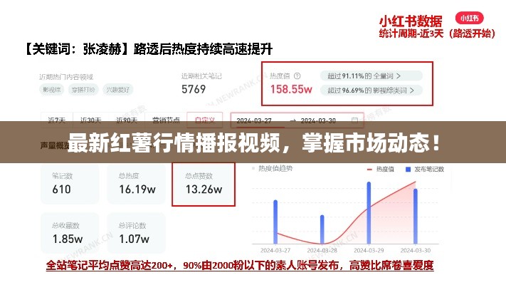 最新红薯行情播报视频，掌握市场动态！