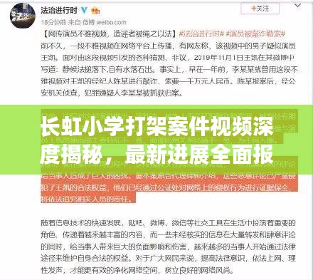 长虹小学打架案件视频深度揭秘，最新进展全面报道