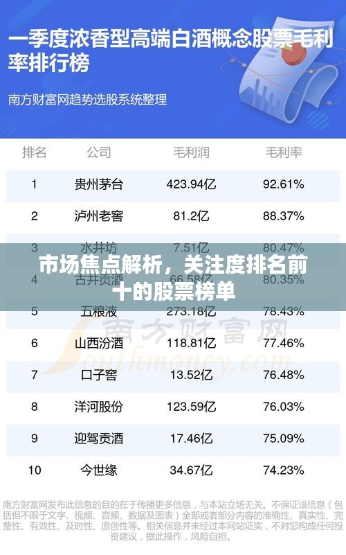 市场焦点解析，关注度排名前十的股票榜单