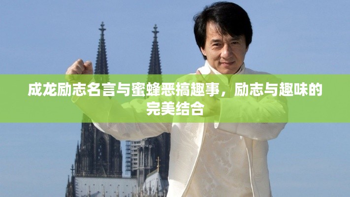 成龙励志名言与蜜蜂恶搞趣事，励志与趣味的完美结合