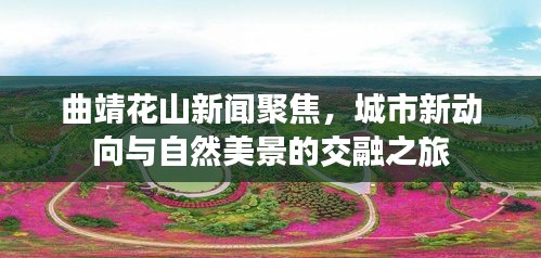 2025年6月11日 第2页