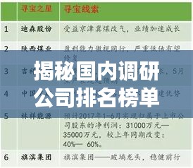 揭秘国内调研公司排名榜单，权威榜单不容错过！