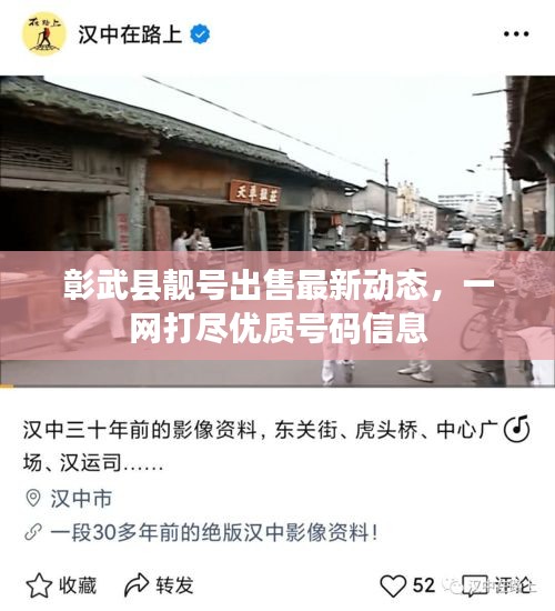 彰武县靓号出售最新动态，一网打尽优质号码信息