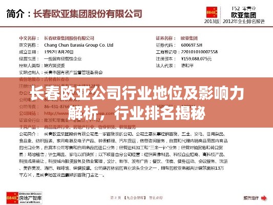长春欧亚公司行业地位及影响力解析，行业排名揭秘