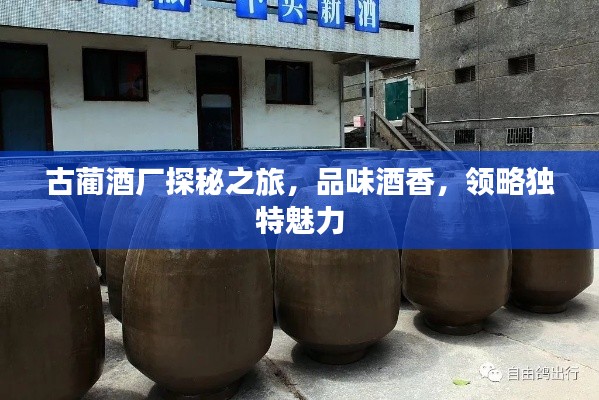 古蔺酒厂探秘之旅，品味酒香，领略独特魅力