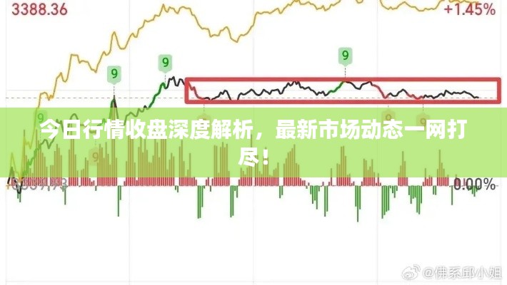 今日行情收盘深度解析，最新市场动态一网打尽！