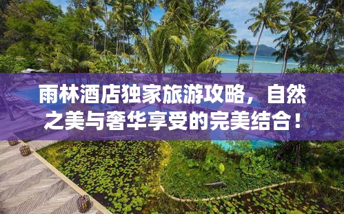 雨林酒店独家旅游攻略，自然之美与奢华享受的完美结合！
