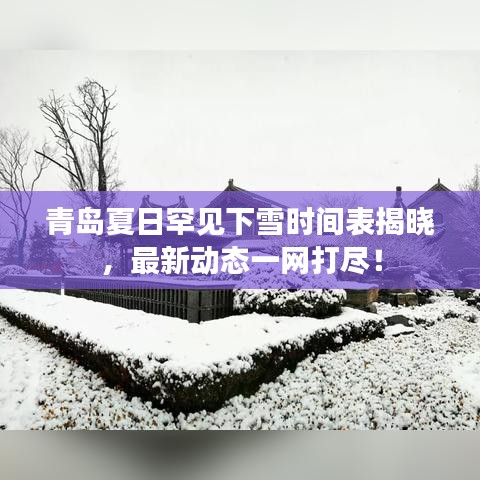 青岛夏日罕见下雪时间表揭晓，最新动态一网打尽！