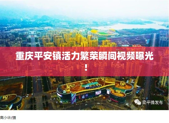 重庆平安镇活力繁荣瞬间视频曝光！