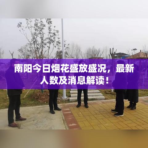 南阳今日烟花盛放盛况，最新人数及消息解读！