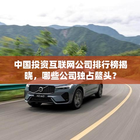 中国投资互联网公司排行榜揭晓，哪些公司独占鳌头？