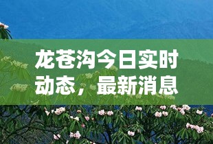 龙苍沟今日实时动态，最新消息速递