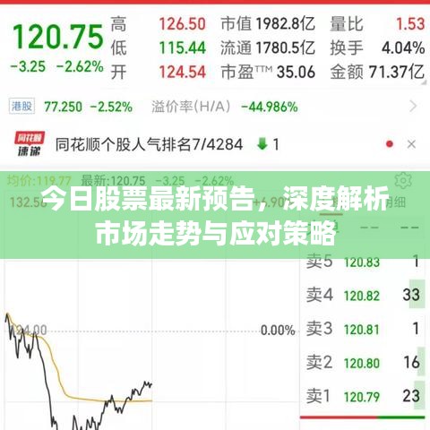 2025年6月16日 第5页