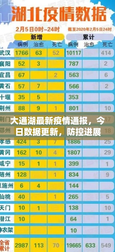 大通湖最新疫情通报，今日数据更新，防控进展速览