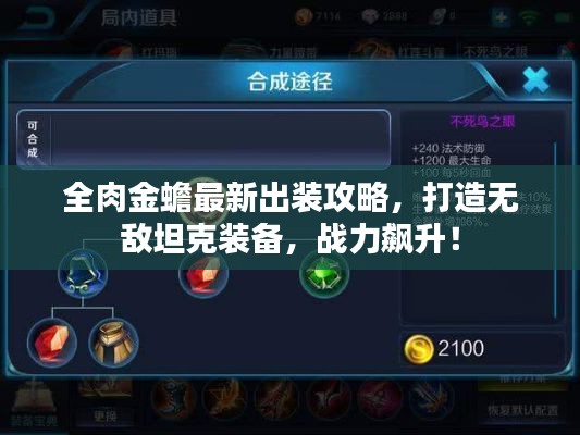 全肉金蟾最新出装攻略，打造无敌坦克装备，战力飙升！